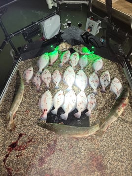 Flounder Fishing in Port Aransas, Texas