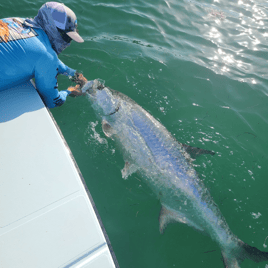 Tarpon Fishing in Islamorada, Florida