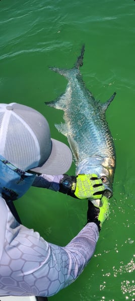 Tarpon Fishing in Key Largo, Florida