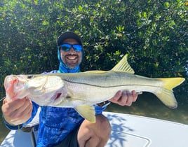 Snook Fishing in Key Largo, Florida