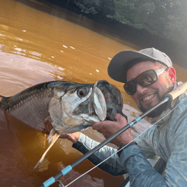 Tarpon Fishing in Chokoloskee, Florida