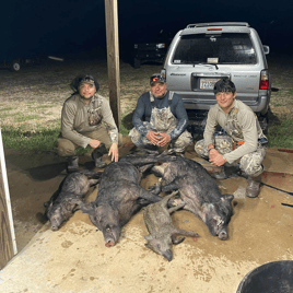 Hog Hunting in