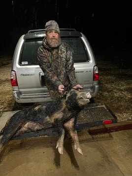 Hog Hunting in