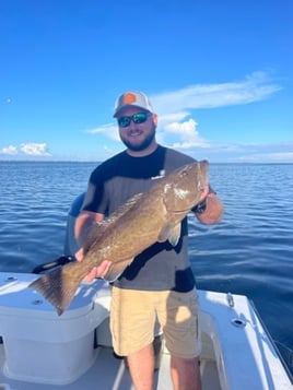 Inshore Fishing Charter