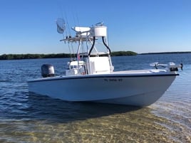 Bradenton Inshore Fishing