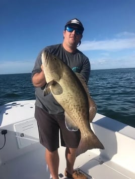 Bradenton Inshore Fishing