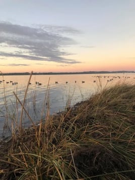 Self Guided Duck Hunts