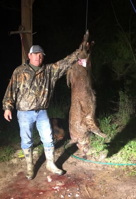 Hog Hunting in Samson, Alabama