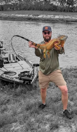 Iguana Fishing in Fort Lauderdale, Florida