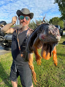 Iguana Fishing in Fort Lauderdale, Florida