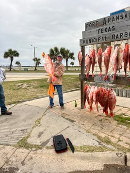 Big State Water Snapper