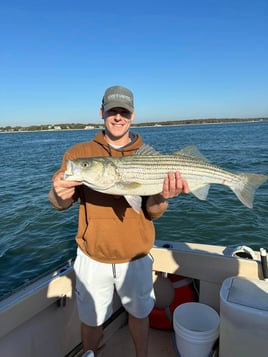 Striped Bass Fishing in Hampton Bays, New York