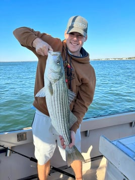 Striped Bass Fishing in Hampton Bays, New York