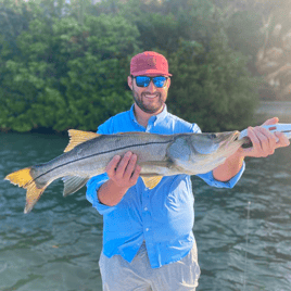 Snook Fishing in Sarasota, Florida