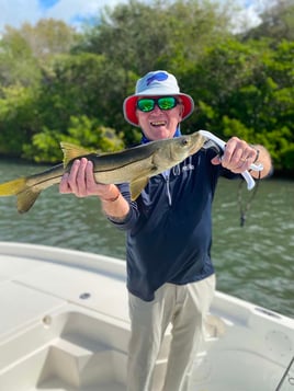 Snook Fishing in Sarasota, Florida