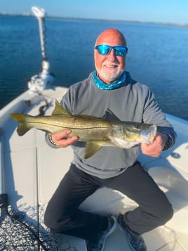 Snook Fishing in Sarasota, Florida