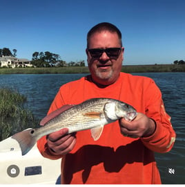 Redfish Fishing in Hilton Head Island, South Carolina