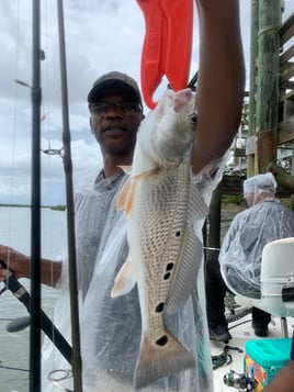 Redfish Fishing in Hilton Head Island, South Carolina