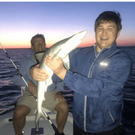 3 Hour Beginner Shark Fishing