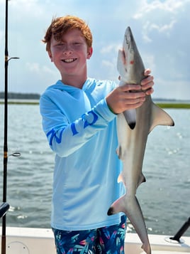 3 Hour Beginner Shark Fishing