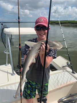 3 Hour Beginner Shark Fishing