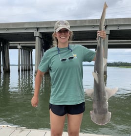 3 Hour Beginner Shark Fishing