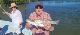 Speckled Trout Fishing in Naples, Florida