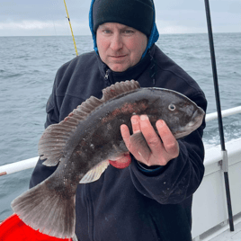 Tautog Wreck Trip