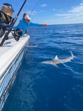 Offshore Fishing (FADs / Oil Rigs)