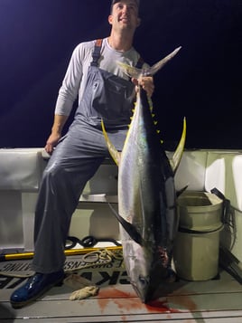 Yellowfin Tuna Fishing in Gulf Breeze, Florida