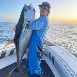 Yellowfin Tuna Fishing in Gulf Breeze, Florida