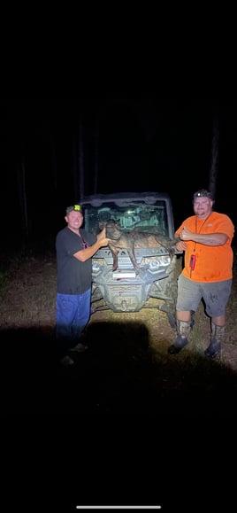 Hog Hunting in Poinciana, Florida