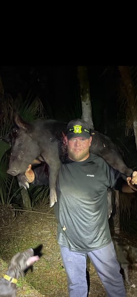 Hog Hunting in Poinciana, Florida