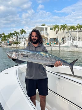 Kingfish Fishing in Cudjoe Key, Florida