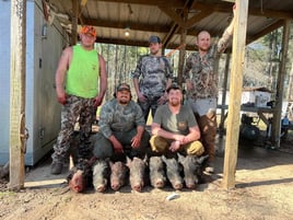 Hog Hunt with Lodging!