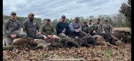 Hog Hunt with Lodging!