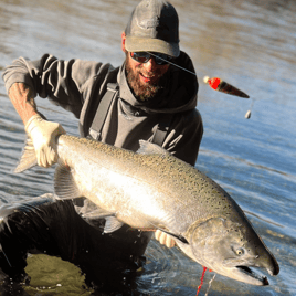 Salmon and Steelhead Trips