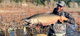 Salmon and Steelhead Trips