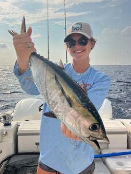 Top Notch Offshore Pelagics