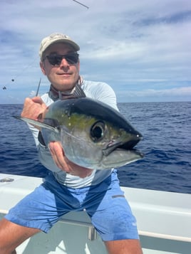 Top Notch Offshore Pelagics