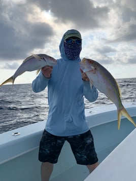 Yellowtail Snapper Fishing in Marathon, Florida