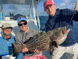 Black Grouper Fishing in Marathon, Florida