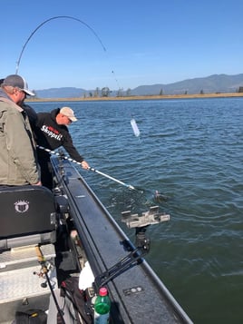 Salmon Fishing and Crabbing