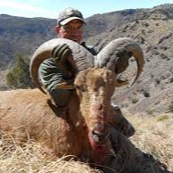 Aoudad Hunt