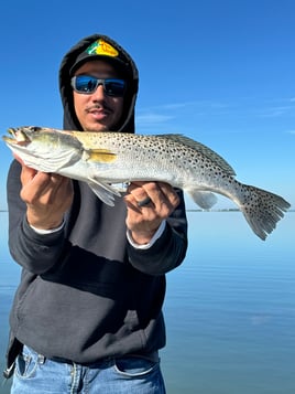 Speckled Trout Fishing in Cape Coral, Florida