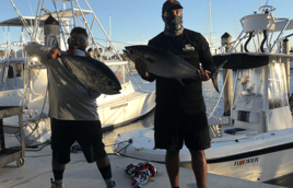 Blackfin Tuna Fishing in Key Biscayne, Florida