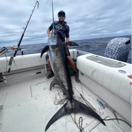 Swordfish Trip - 31' Jupiter