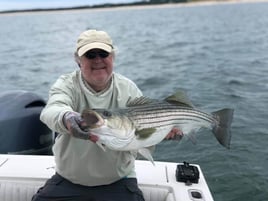 Striped Bass Fishing in Chatham, Massachusetts