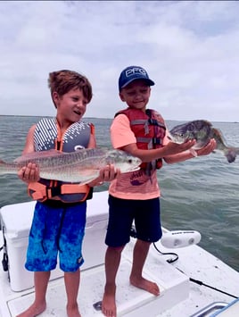 Black Drum, Redfish Fishing in Rockport, Texas