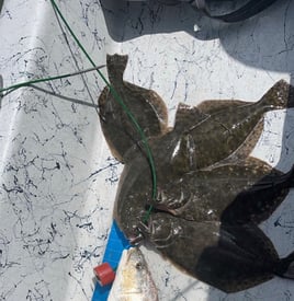 Flounder Fishing in Rockport, Texas